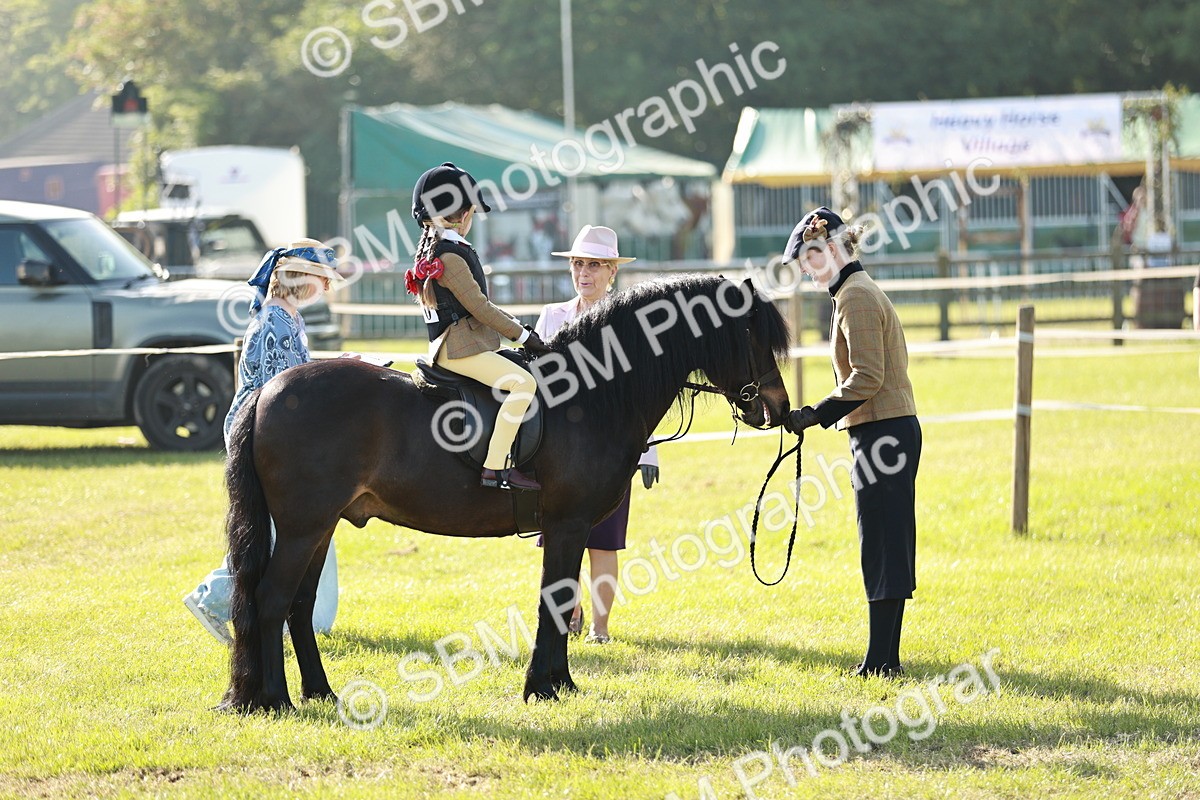 SBM_11149 - Class 106-107 - BSPS LIHS Working Sports Pony