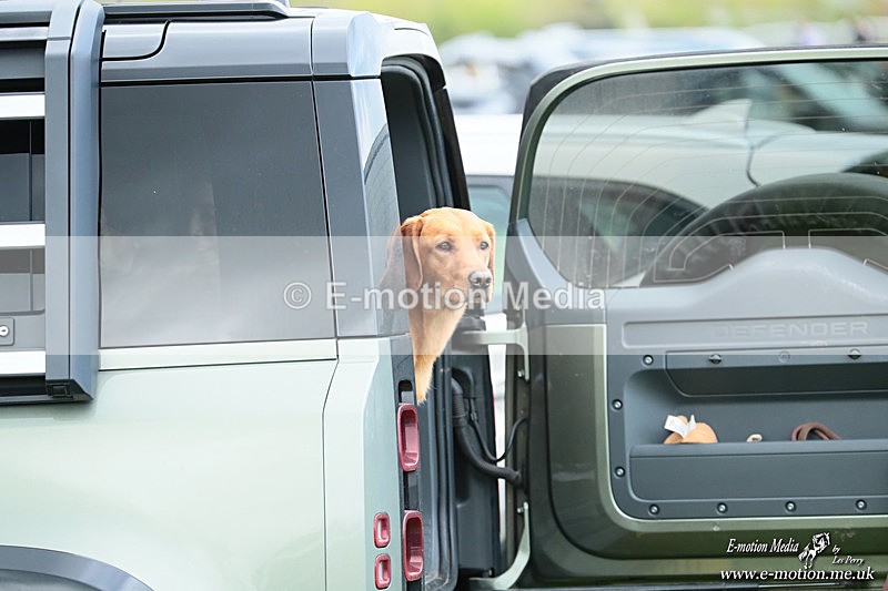 PtP 180426 1323 - Worcestershire Hunt PtP Chaddesley Corbett 18/04/26