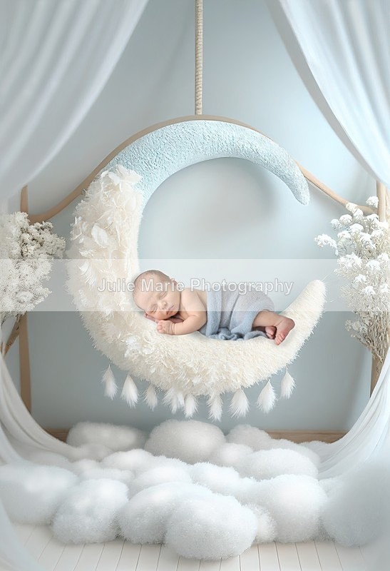 DSC_9767moon - Harry