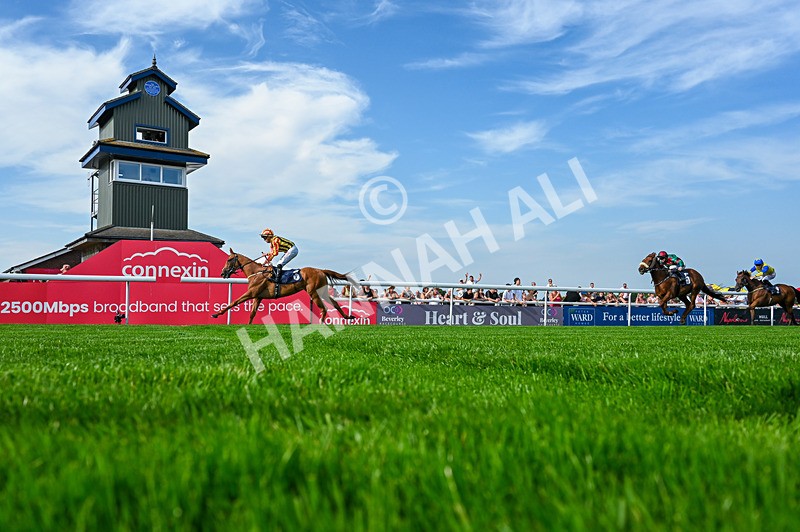 130826-Race 6-Saxon Grace-5397 - Race 6 16.45pm Racing Again On Saturday 29 August Handicap