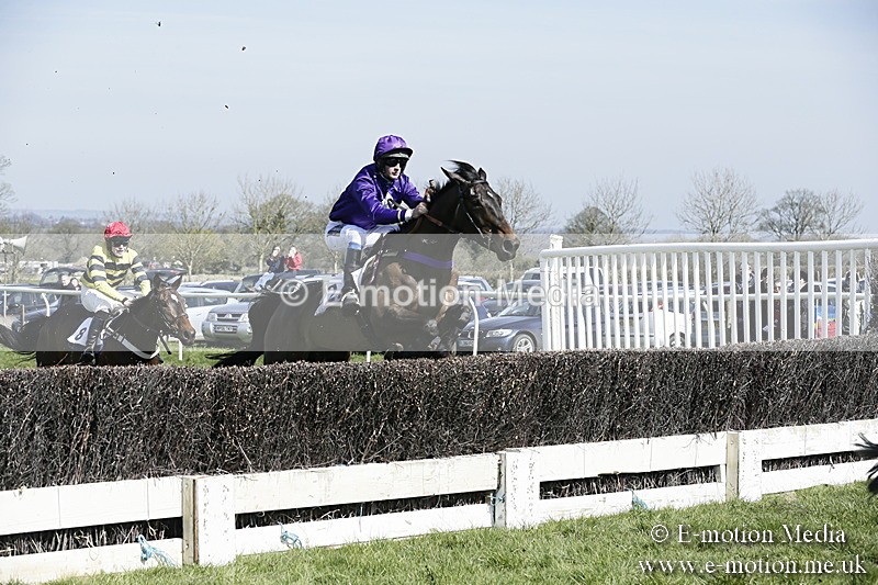 PtP 260317 47 - Mendip Farmers Point-to-Point Ston Easton 26/03/17