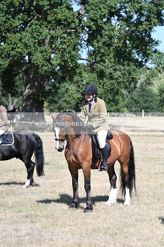 WJ7_4100 - Class 9 Mountain & Moorland Ridden