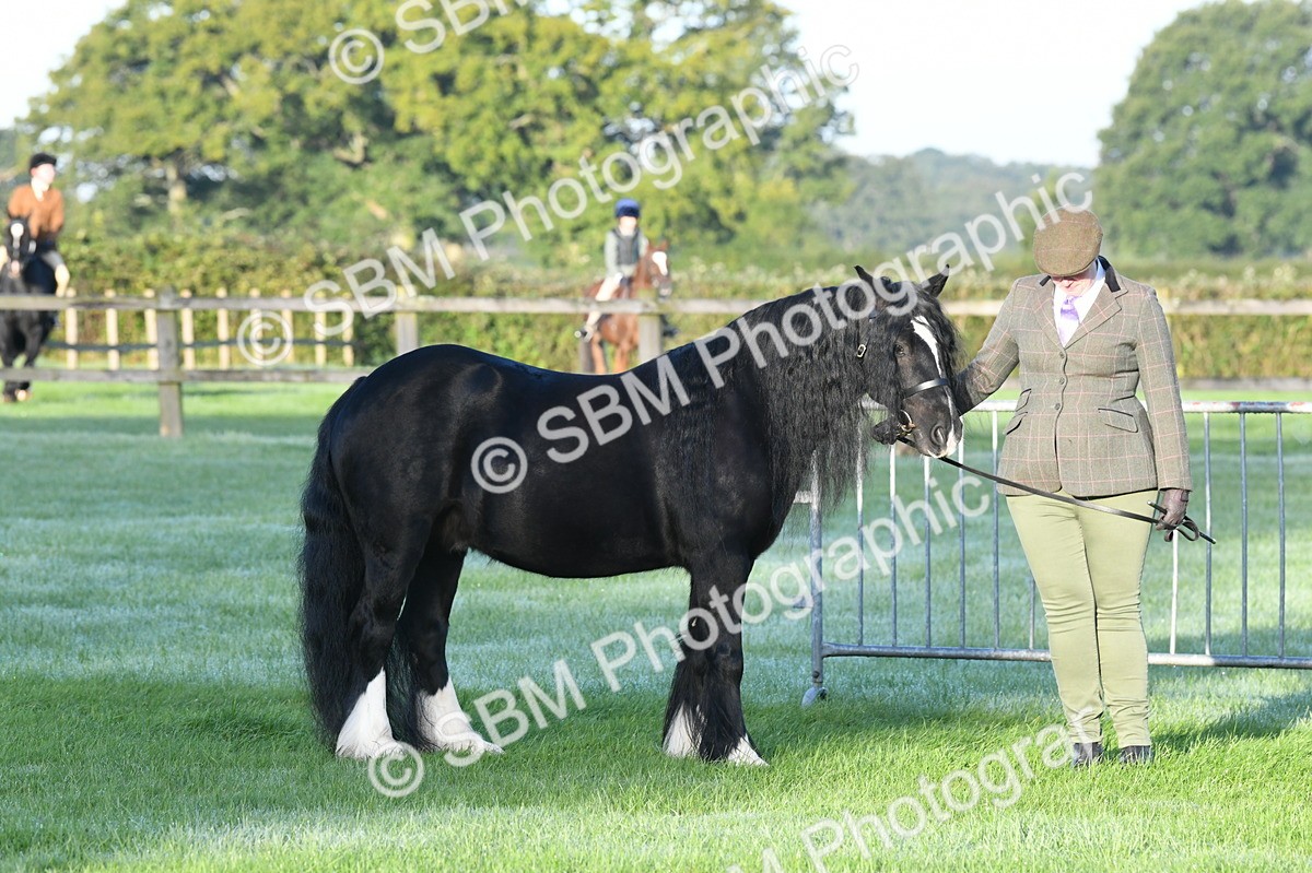 SBM_32569 - S15 - Condition & Turnout In Hand
