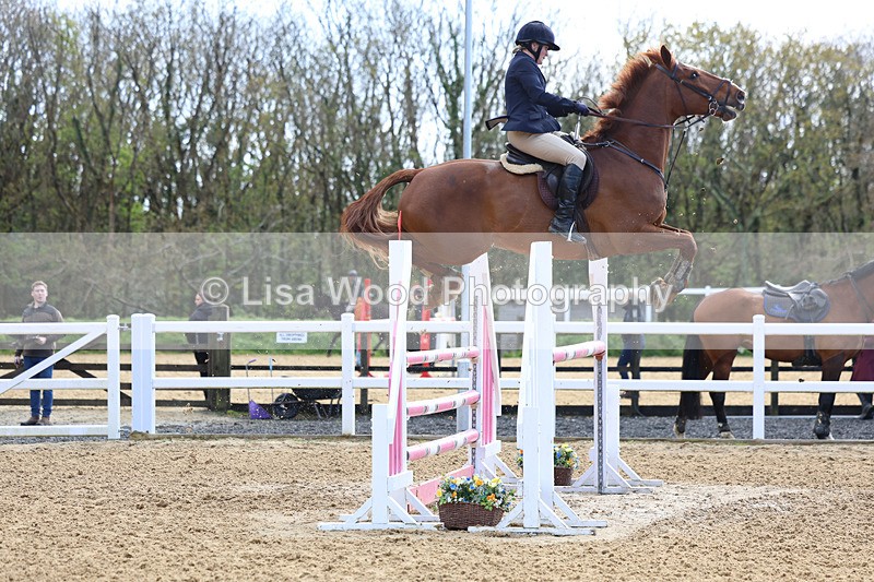 3E7A2094 - Class 8: Senior Foxhunter/1.20 open