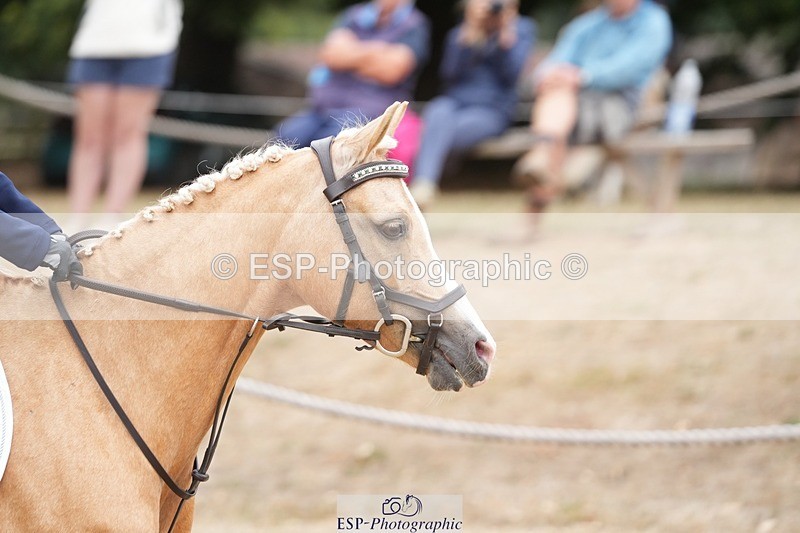 250820A-122425-06290 - Round 2, 11.45 to 12.30 End