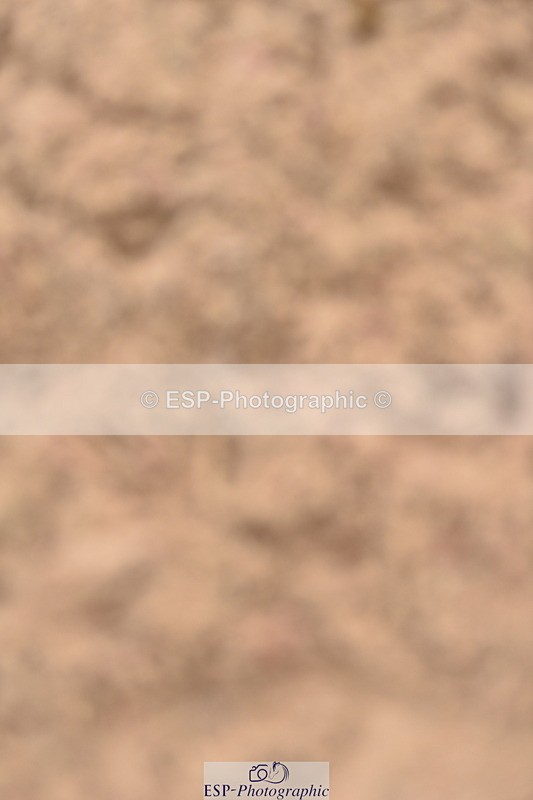 231011A-114256-00275 - Cls 2 Discovery & 1m Open