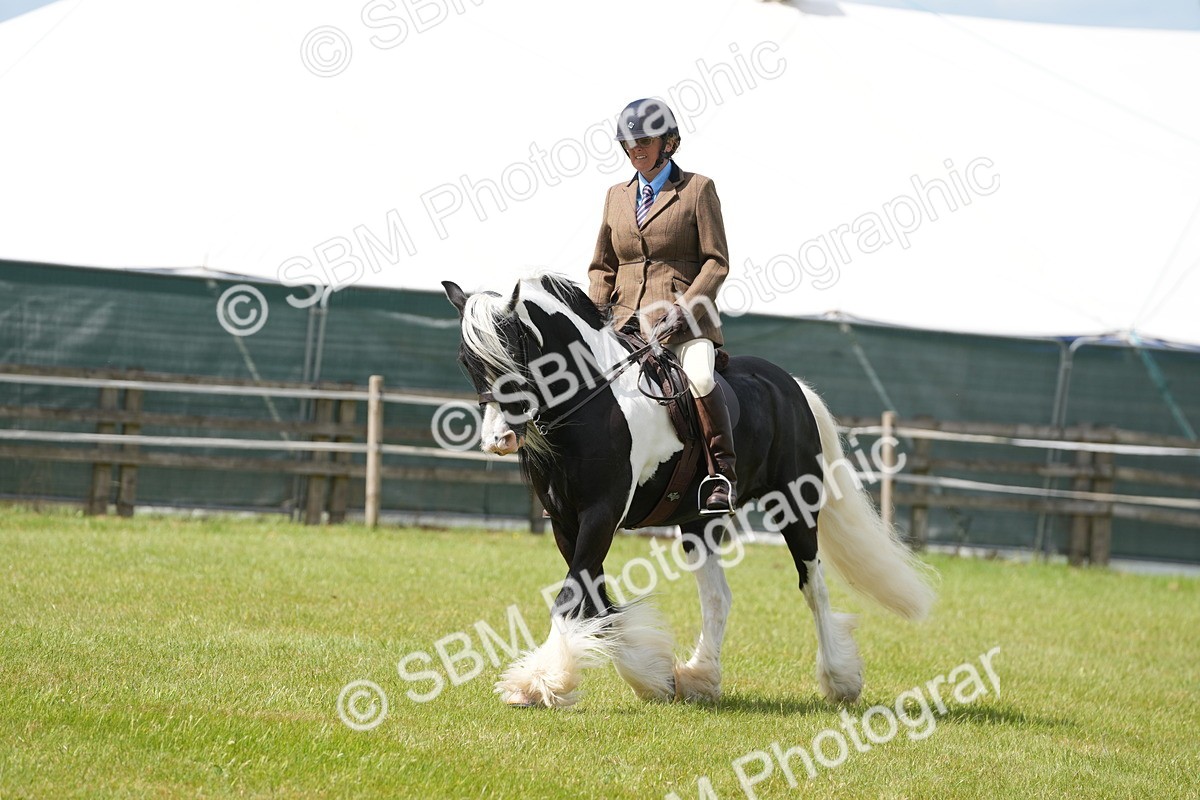 SBM_17270 - Class 107-108 - LIHS BSPS Performance Coloured Horse Pony