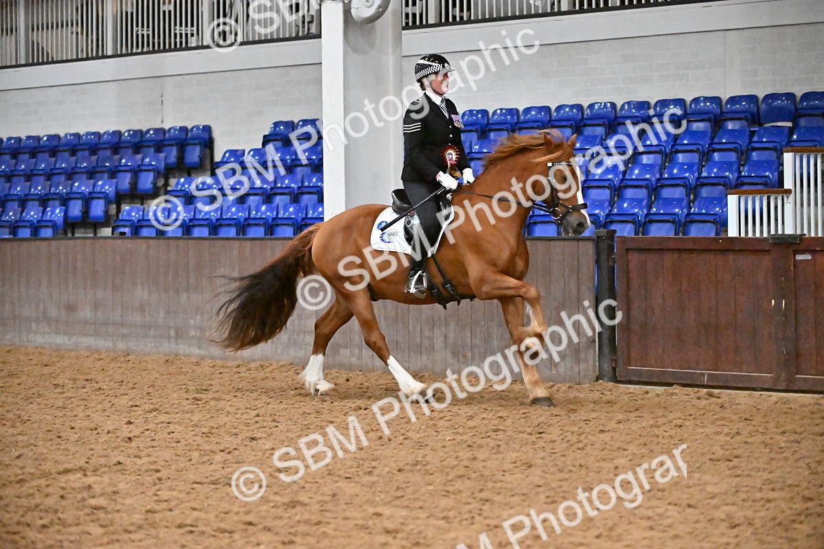 SBM_003069 - Class 37,38 - UKPSAF Performance Horse & Pony