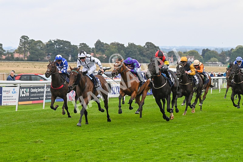 240924-Race 3-Nala Star-6101 - Race 3