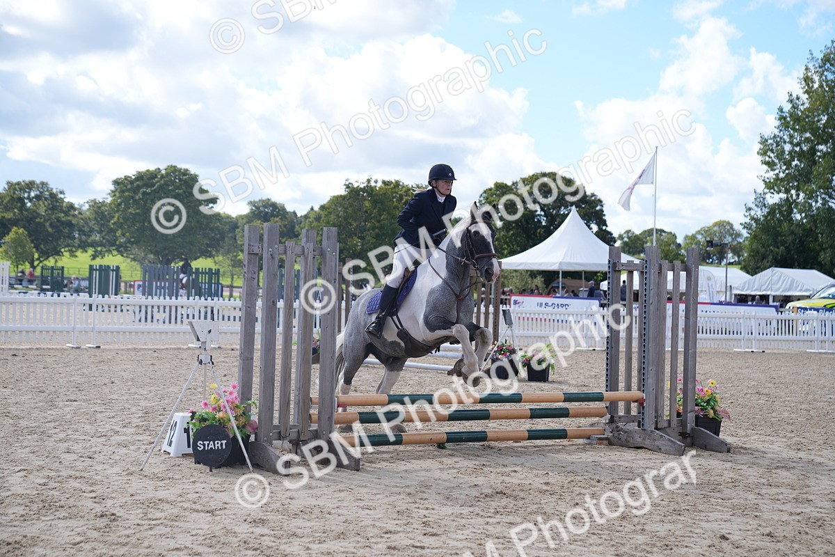 SBM_04108 - J34 Veteran 50cm Championship