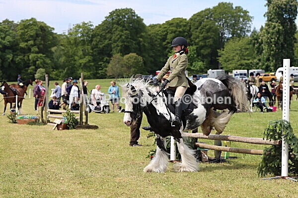 IMG_3168 - Working Hunter