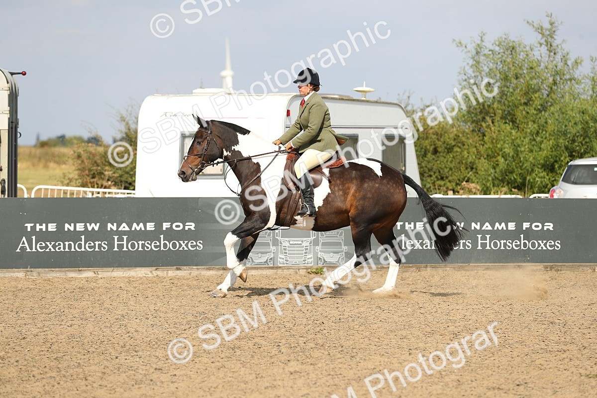 SBM_06822 - Class 49a Style & Performance 80cm (15-19)