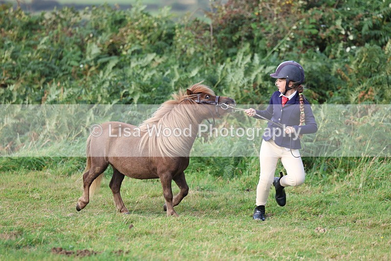 3E7A3189 - Class 12: M & M Small Breeds