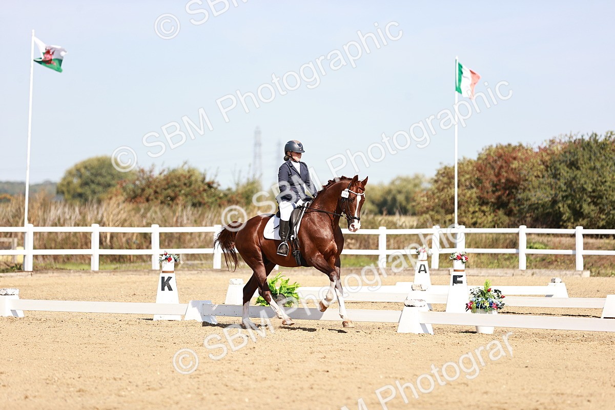 SBM_004441 - Class 12 - Novice 5 - 10.31-11.41