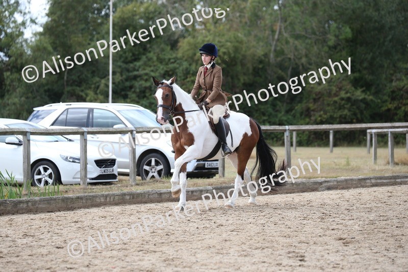 20260831-2744 - Class 16 and 17- Ridden Cob and Hunters