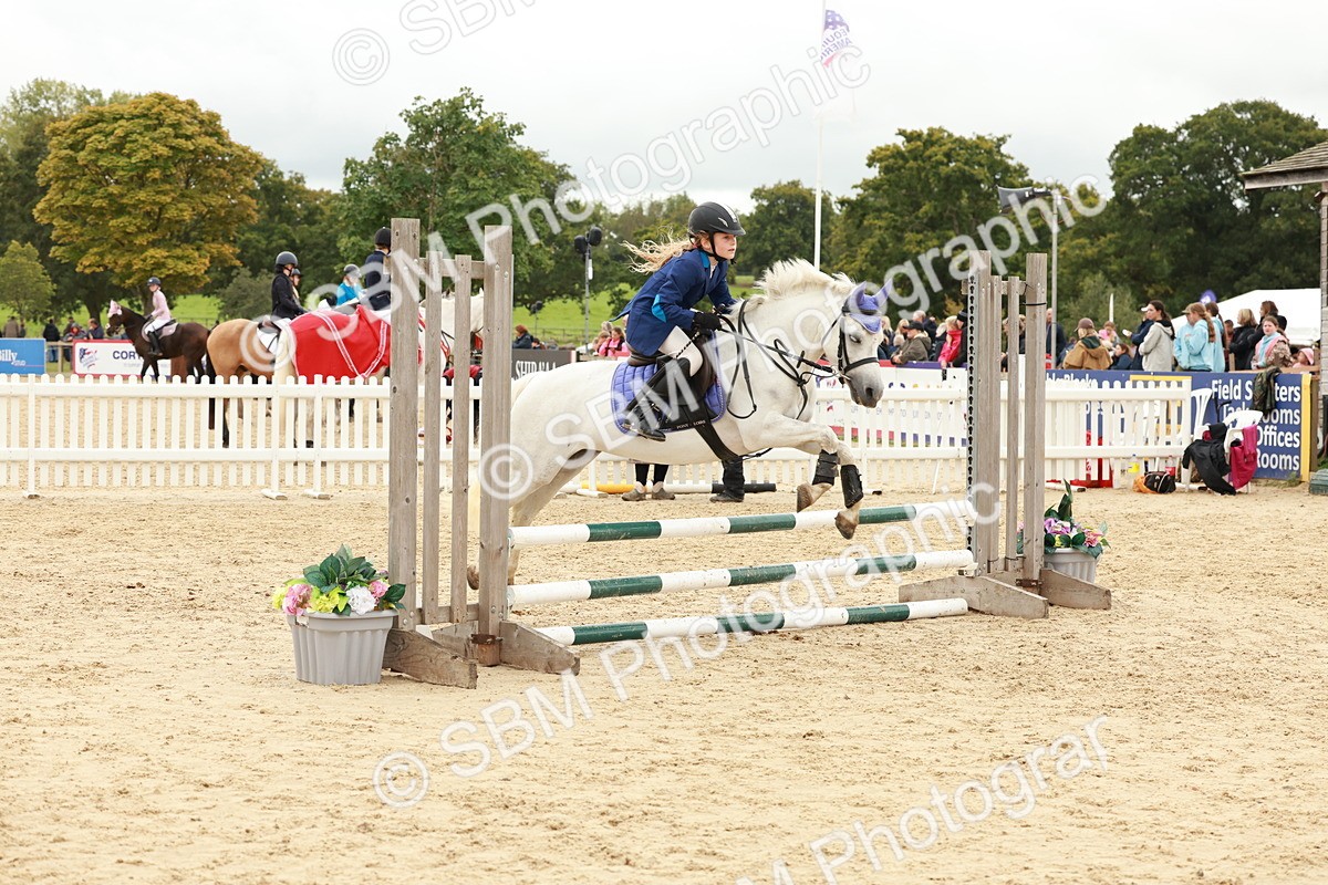 SBM_62056 - J12 - Junior Pony 55cm Championship