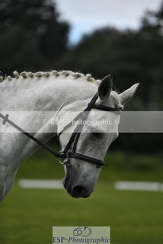 230826-123938-19504 - PC 70 Start to 1pm