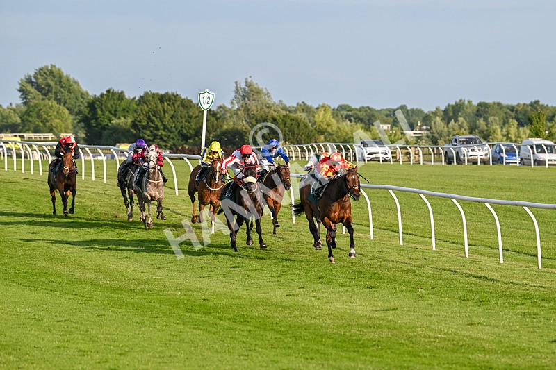 100625-Race 6-Show No Fear-7421 - Race 6