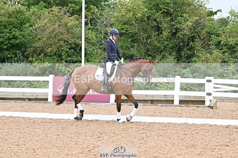 240815A-130514-01101 - Cls 7-P Freestyle Medium Bronze