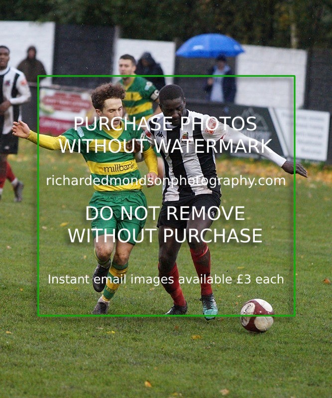 DSC02371 - Runcorn Linnets