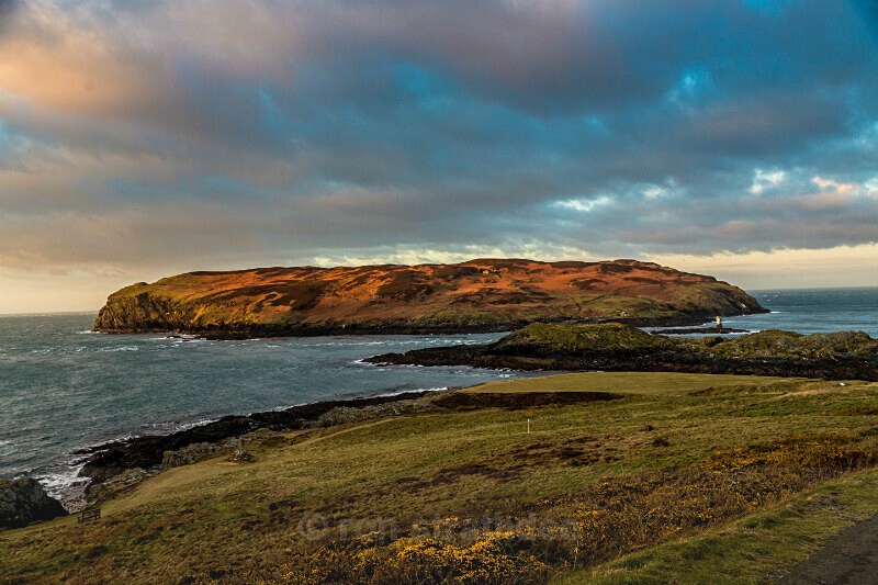 Calf of Man in Morning Light - Land of Man