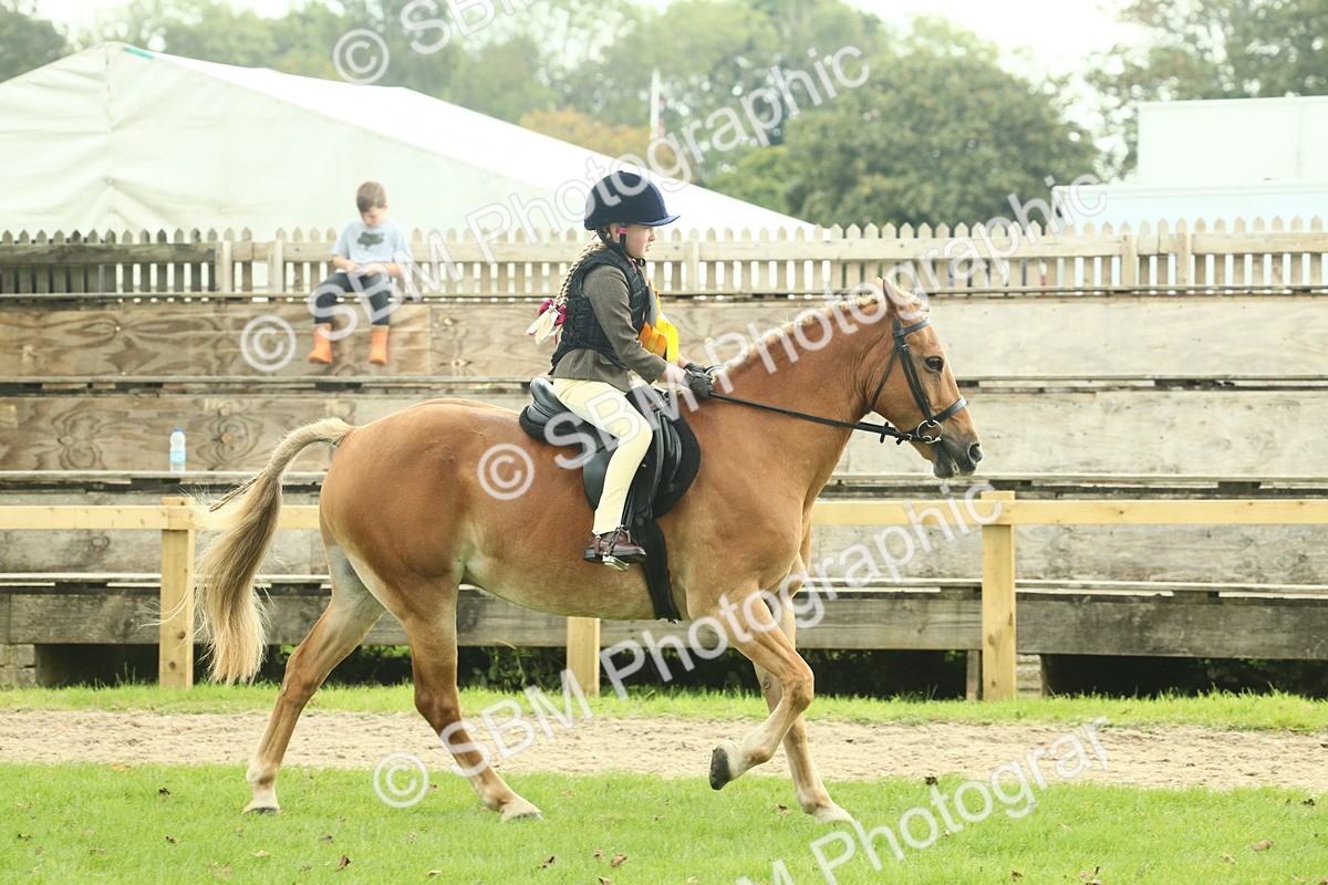SBM_62574 - S62 - Foreign Breeds Ridden
