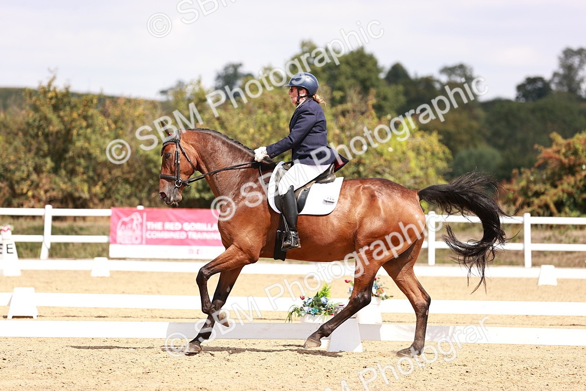 SBM_018523 - Class 17 - Novice 6