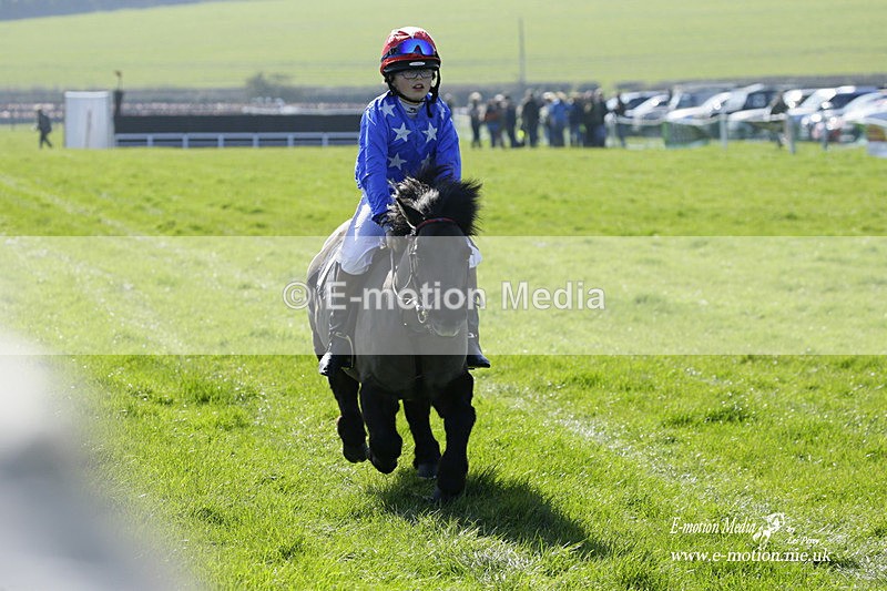 PtP 190322 43 - Wilton Hunt PtP Milborne St Andrew 19/03/22