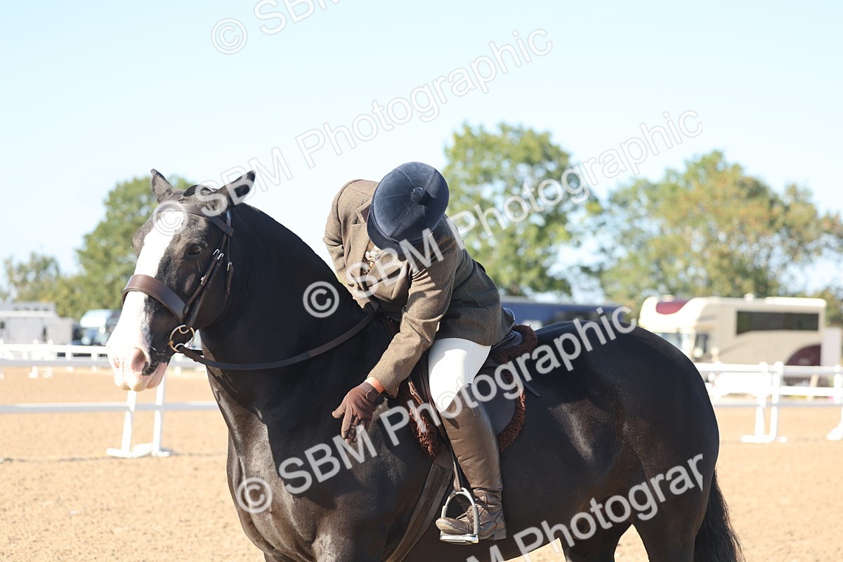 SBM_22229 - Class 802 - Ridden Groom Helpers Class