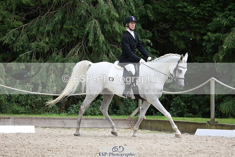 230812-151952-05110 - Cls 5 Novice Bronze 15.00 to End