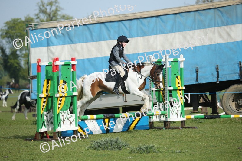 20260426-0190 - Class 13 - Rookie Jumping 50cm