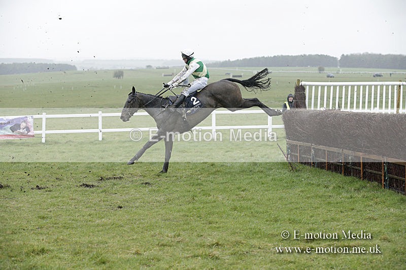 PtP 150320 0180 - New Forest Point-to-Point Larkhill 15/03/20