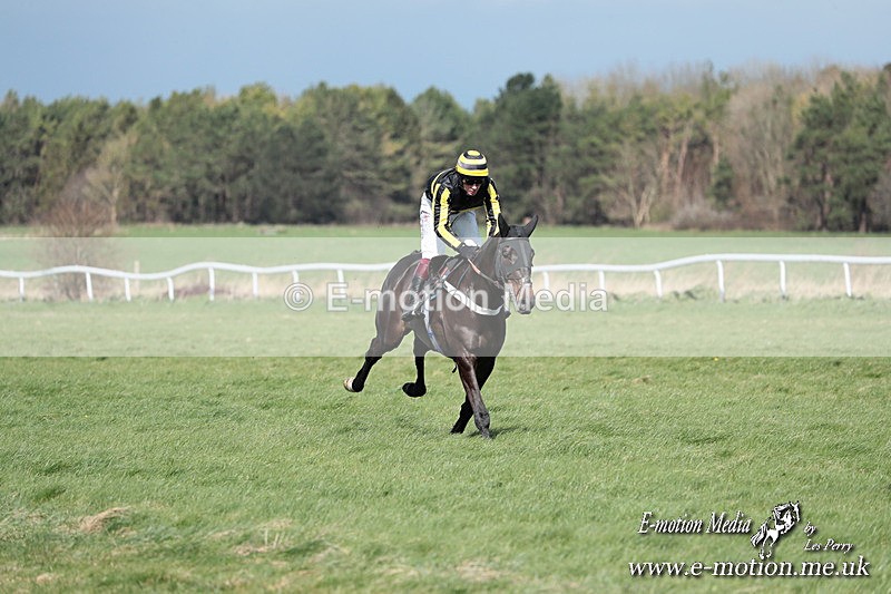 PtP 230324 271 - Tedworth Hunt PtP Larkhill Raccourse 23rd March 2024