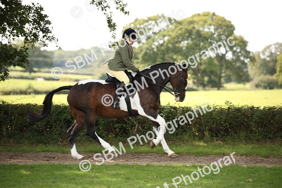 SBM_70082 - S65 - Piebald & Skewbald Horse Ridden