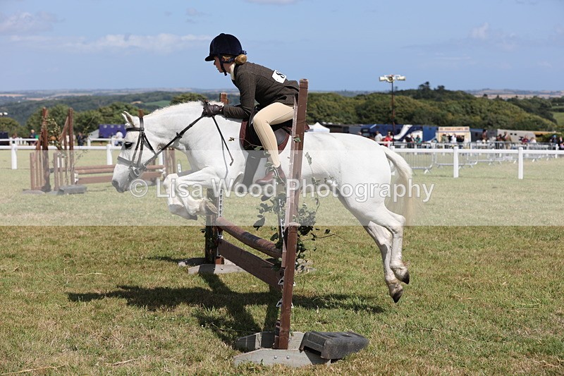 JPP_2246 - Class 19: Working Hunter 60cm