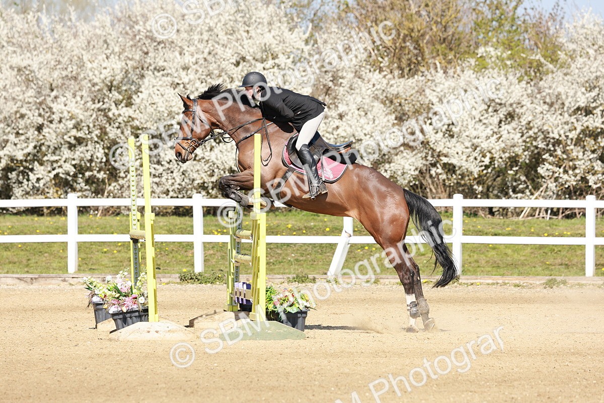 SBM_004086 - Class 17 - Senior Newcomers - 1.10m