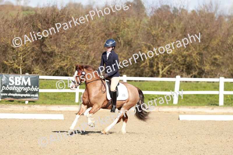 20260314-4298 - DR4 - Prelim 2