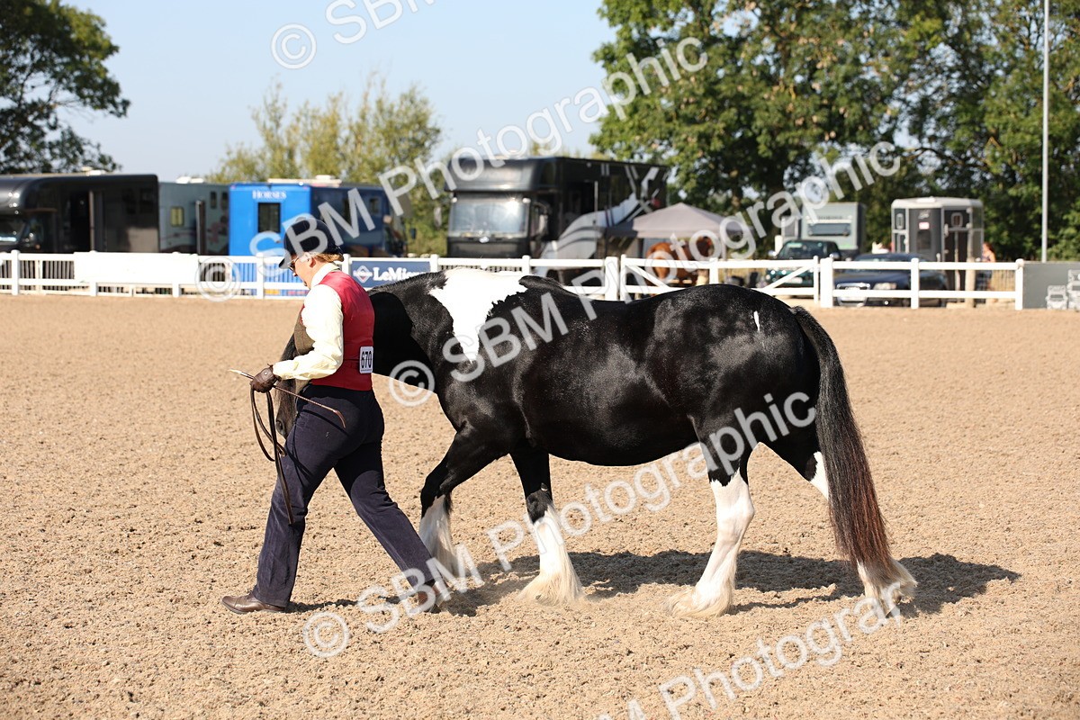 SBM_01529 - Class 15 IH Coloured