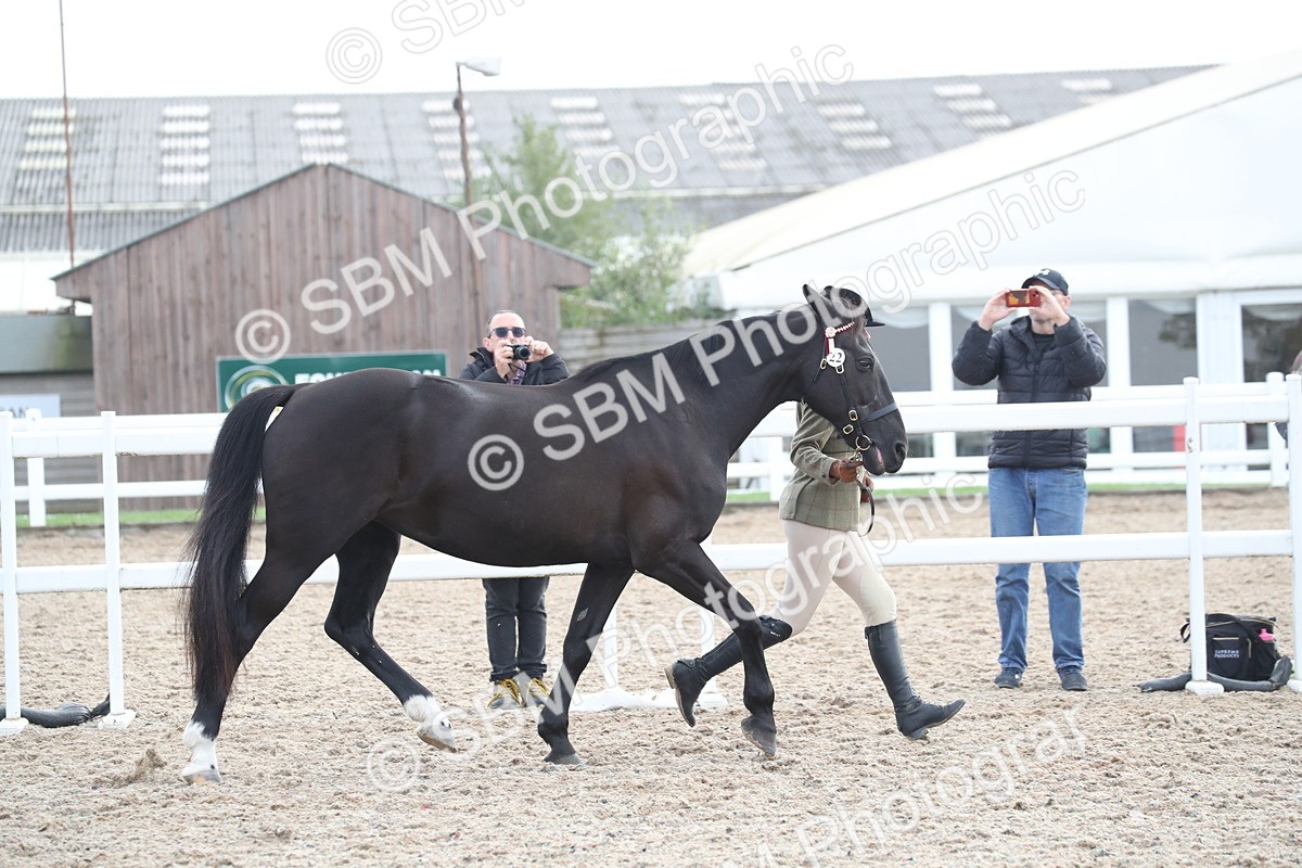 SBM_23092 - Class 605 - 2025 Area - IH Veteran