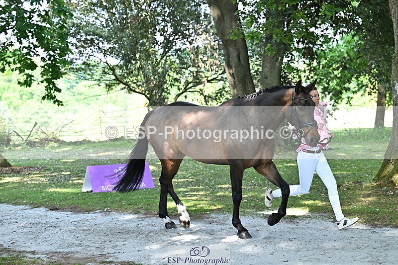 250521A-154726-00762 - B-366-Ginny.Howe-CHF.CAPTAIN.JACOB