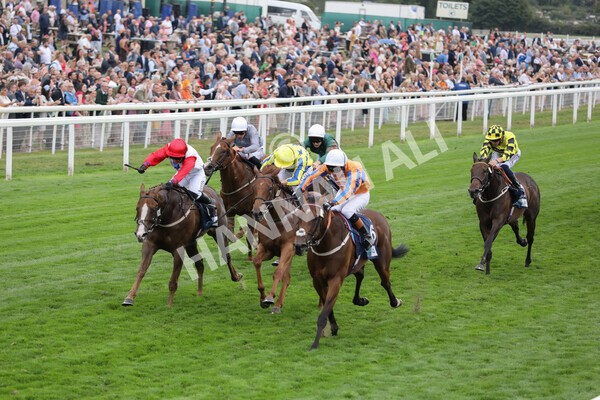 yr18082022r7-20 - Race 7 5.20pm British Stallion Studs EBF Fillies' Stakes