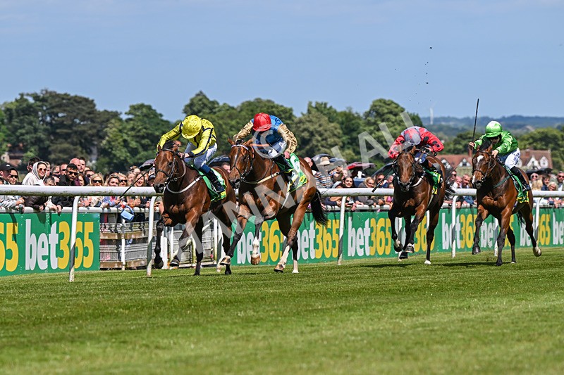 080624-Race 3-Shareholder-1005 - Race 3