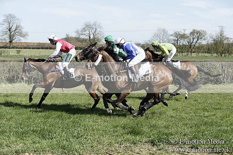 PtP 250317 23 - V.W.H. Hunt Point-to-Point Siddington 25/03/17