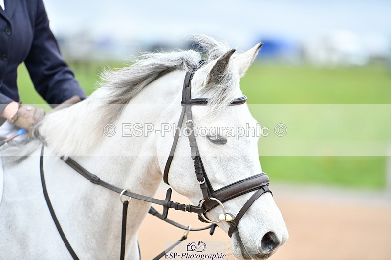 240309A-123918-00854 - Cls 19+20 Club and Schools 80cm