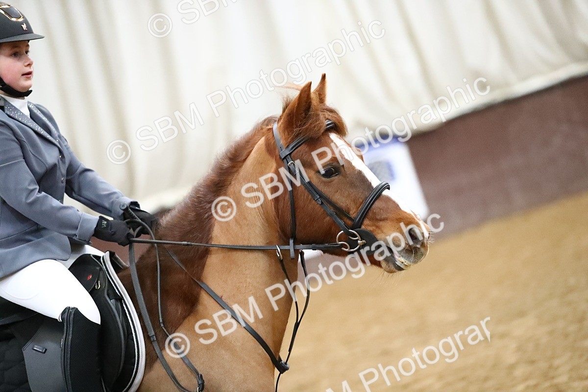 SBM_000208 - Class 1 - 30cm