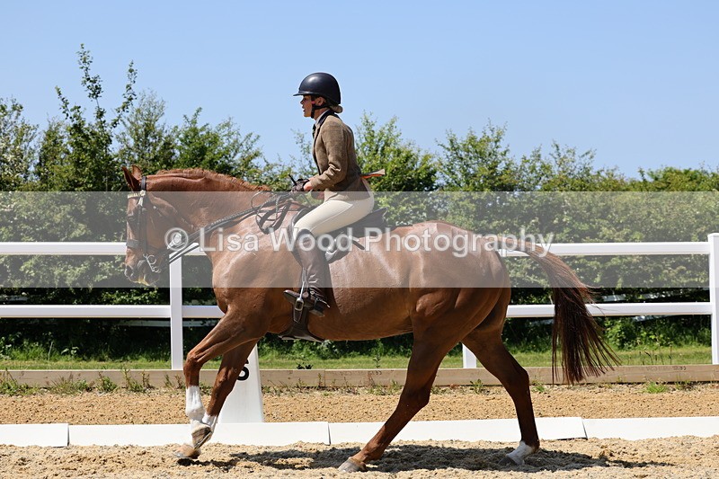1X9A1901 - Class 12: Ridden Riding Horse/Hack