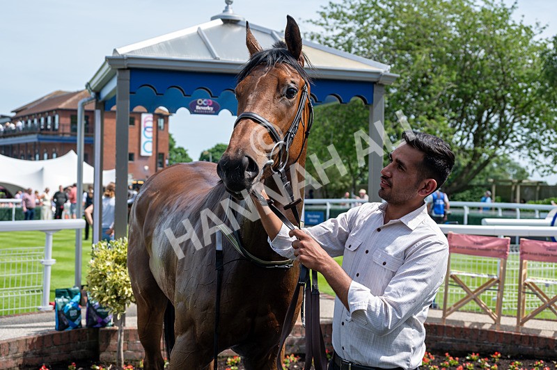 300526-Race 2-Crystal Queen-4822 - Race 2 14.15pm Hilary Needler Trophy EBF Fillies' Conditions Stakes