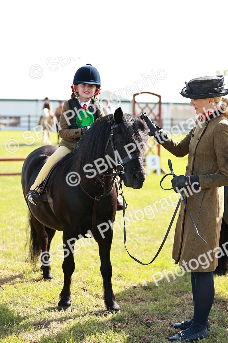 SBM_11314 - Class 106-107 - BSPS LIHS Working Sports Pony