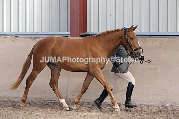 SIAL9610 - Indoor Classes