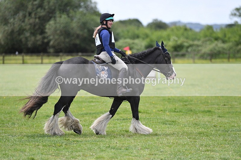 WJ5_3119 - Class 4 60cm